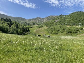 Station en été