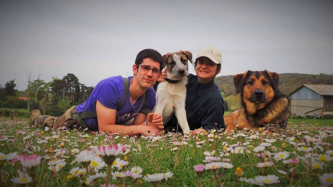 Photo d'un coupkle et deux chiens dans un champs en Ariège