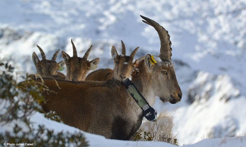 Territoire préservé en Ariège 1